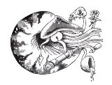 Nautilus Pompilius